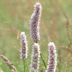 Test 1